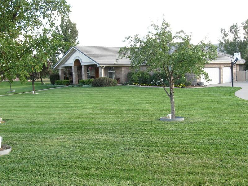Simple Clean Lawn