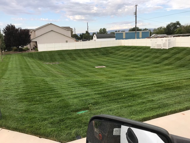 Contour Lawn with Drainage 
