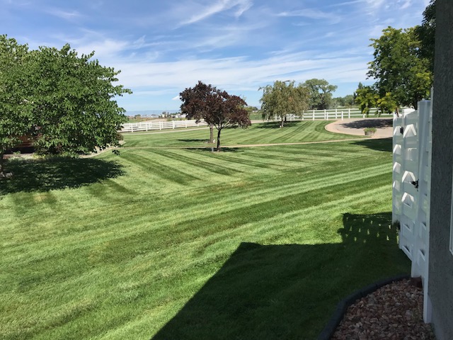 Large Lawns with clearn mowing marks