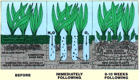 Aeration image 