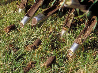 Aeration machine and grass plugs