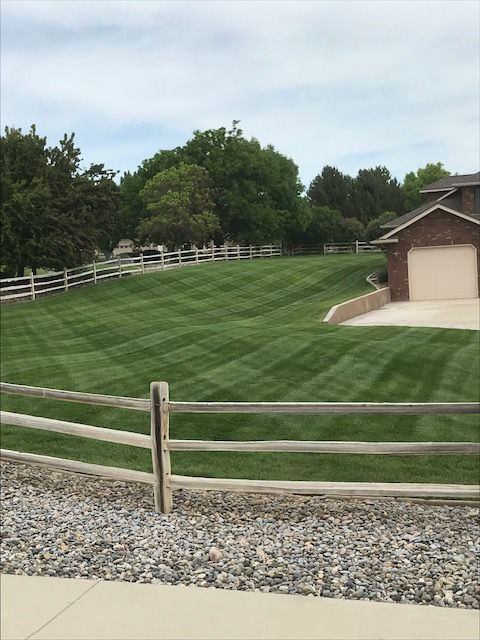Rolling contour lawn